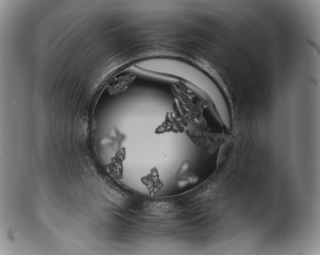 X0000099430063200805231703