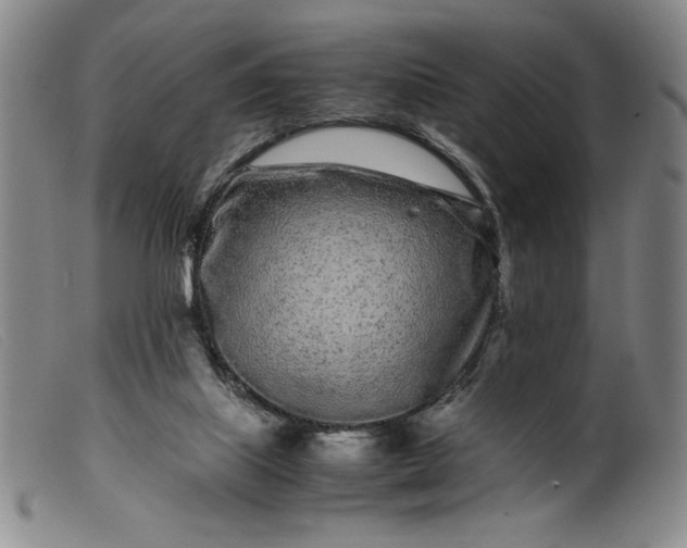 X0000099430067200805231703