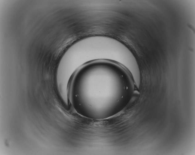X0000099430072200805231703