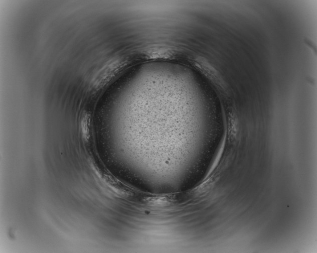 X0000099430074200805231703