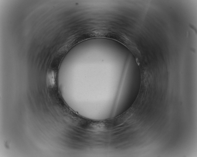 X0000099430075200805231703