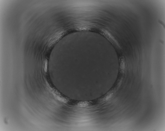 X0000099430076200805231703