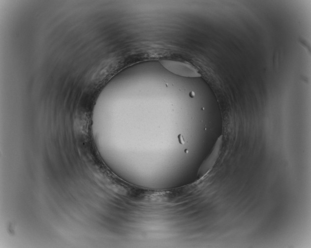X0000099430078200805231703