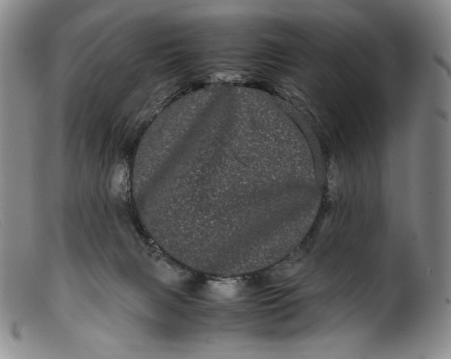 X0000099430079200805231703