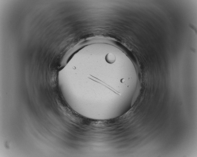 X0000099430082200805231703