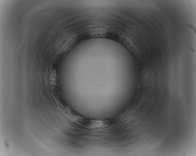 X0000099430083200805231703