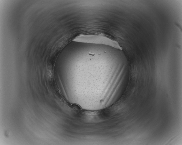 X0000099430085200805231703