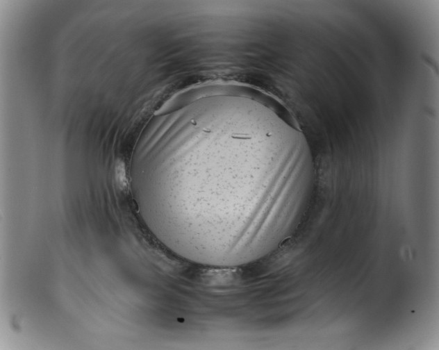 X0000099430089200805231703