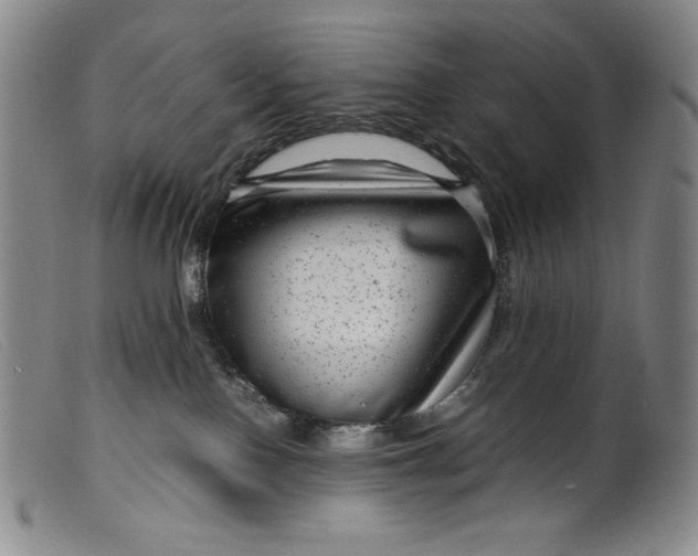 X0000099430090200805231703