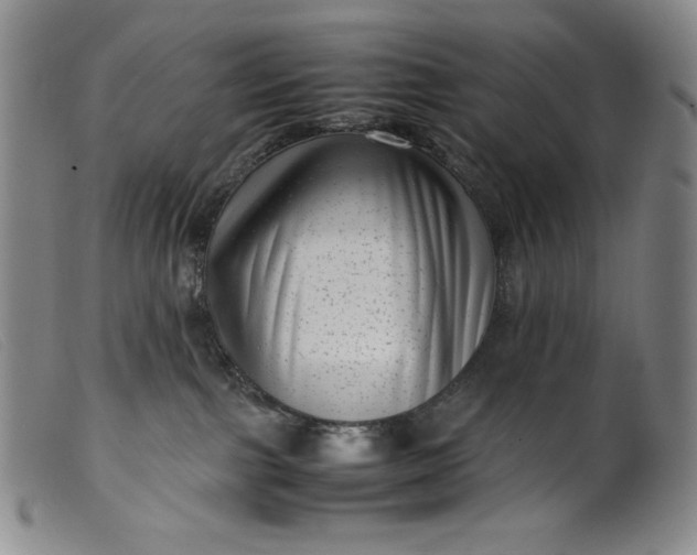 X0000099430091200805231703