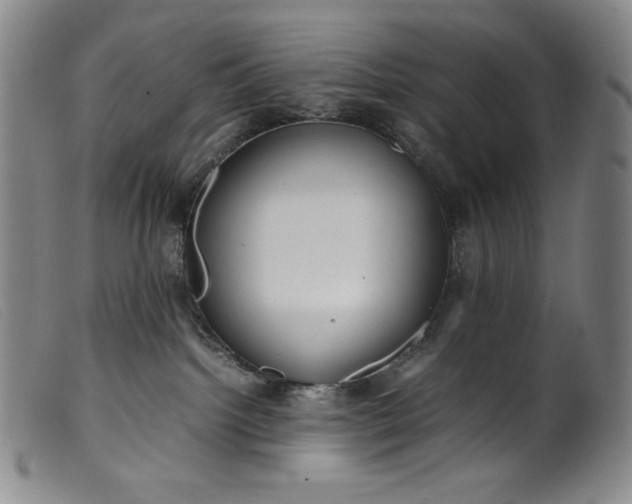 X0000099430092200805231703
