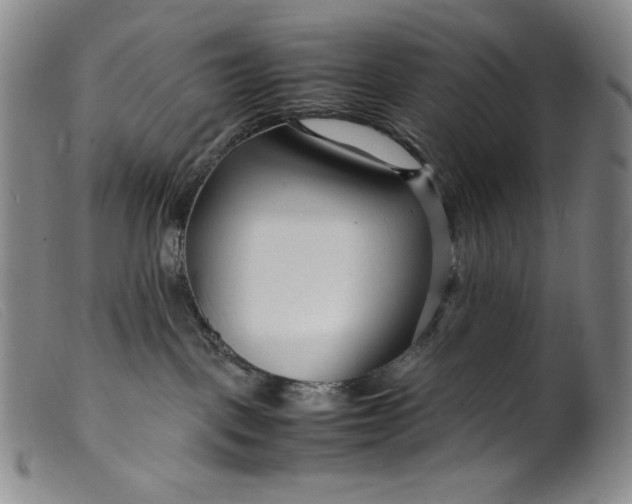 X0000099430093200805231703