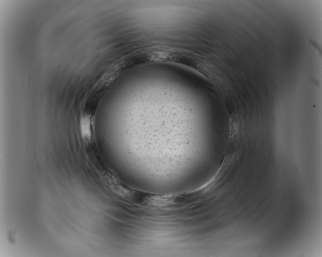 X0000099430094200805231703