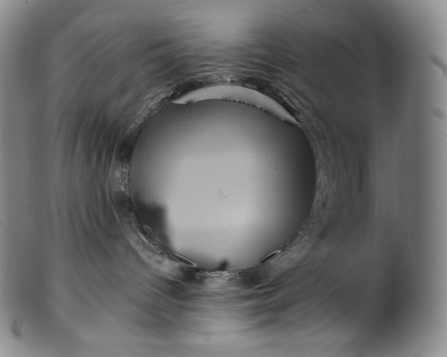 X0000099430096200805231703