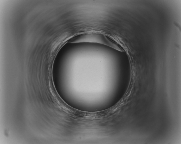 X0000099430097200805231703