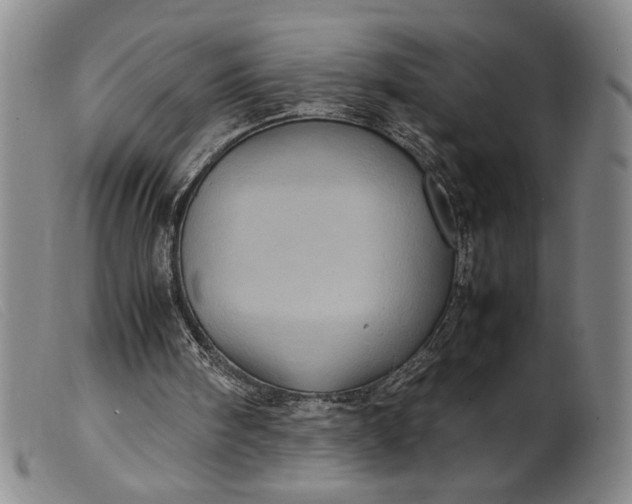 X0000099430098200805231703
