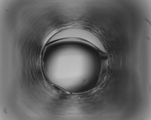 X0000099430100200805231703