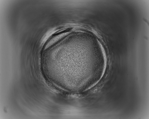 X0000099430103200805231703