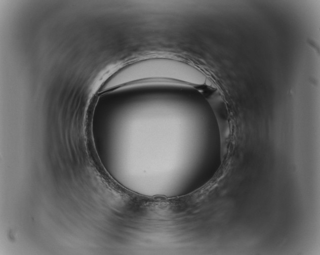 X0000099430104200805231703