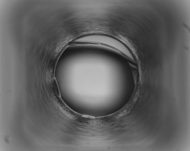 X0000099430105200805231703