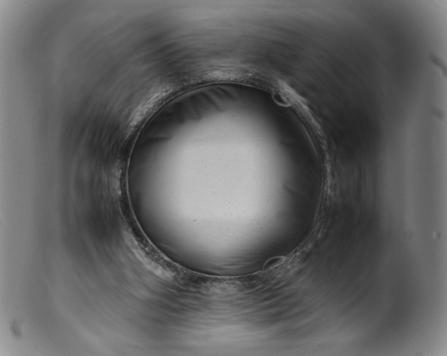 X0000099430106200805231703