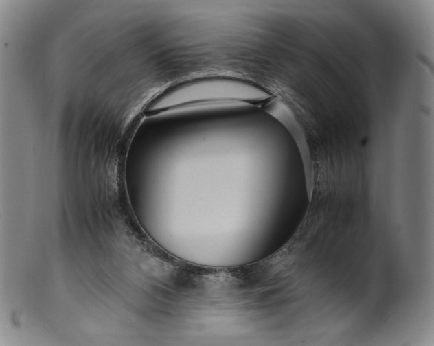 X0000099430112200805231703