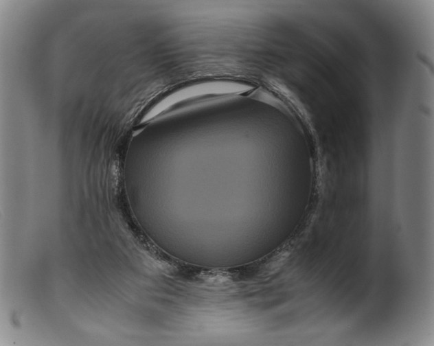 X0000099430113200805231703