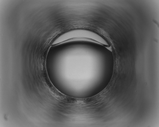 X0000099430114200805231702