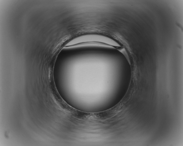 X0000099430115200805231702