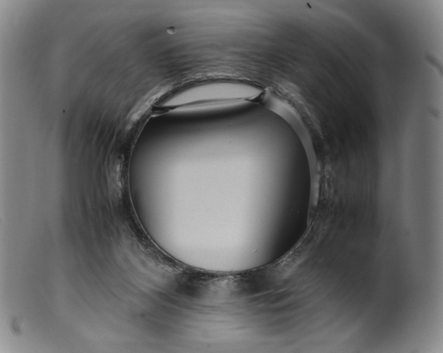 X0000099430116200805231702
