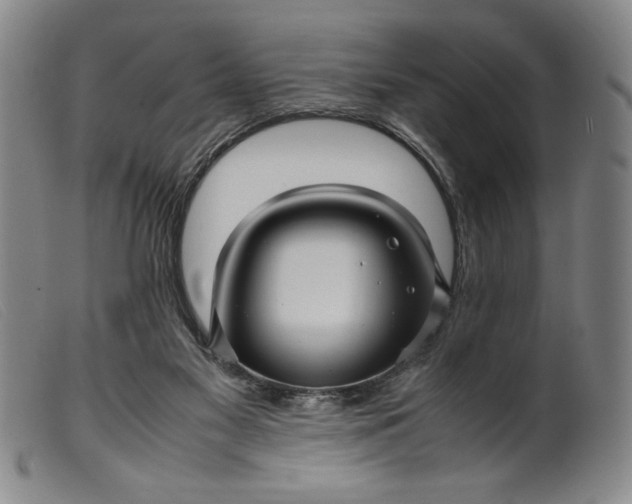 X0000099430117200805231702