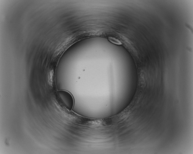 X0000099430118200805231702
