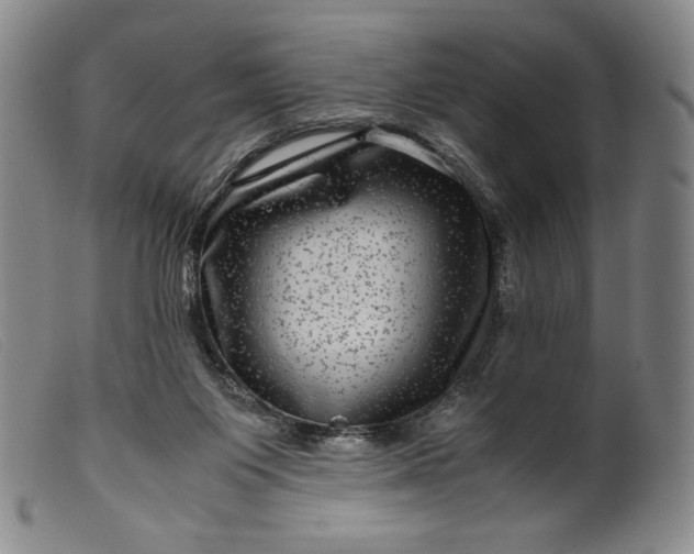 X0000099430119200805231702