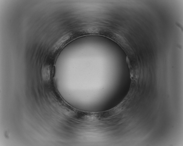 X0000099430120200805231702