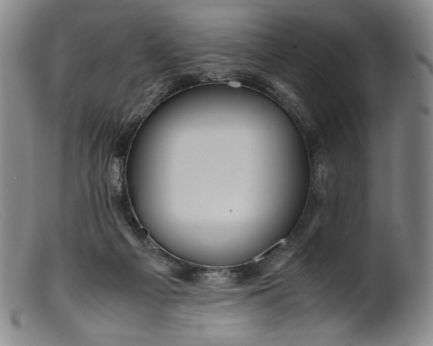 X0000099430121200805231702