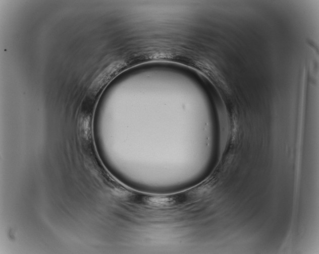X0000099430123200805231702