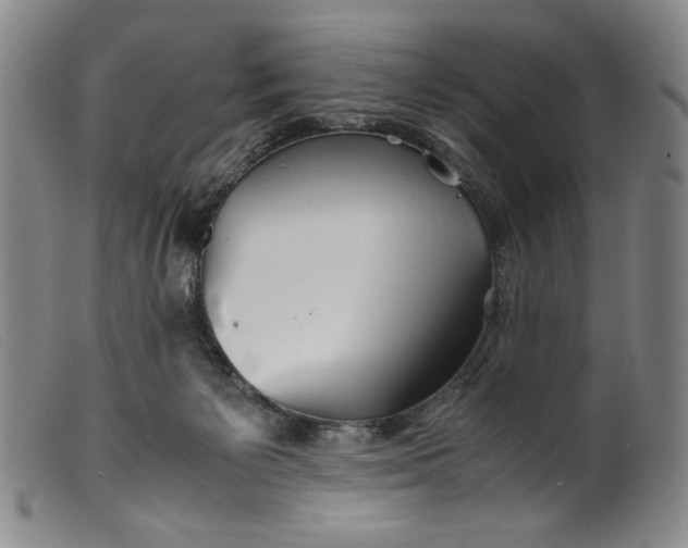 X0000099430125200805231702