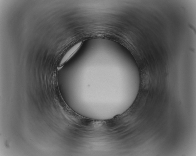 X0000099430126200805231702