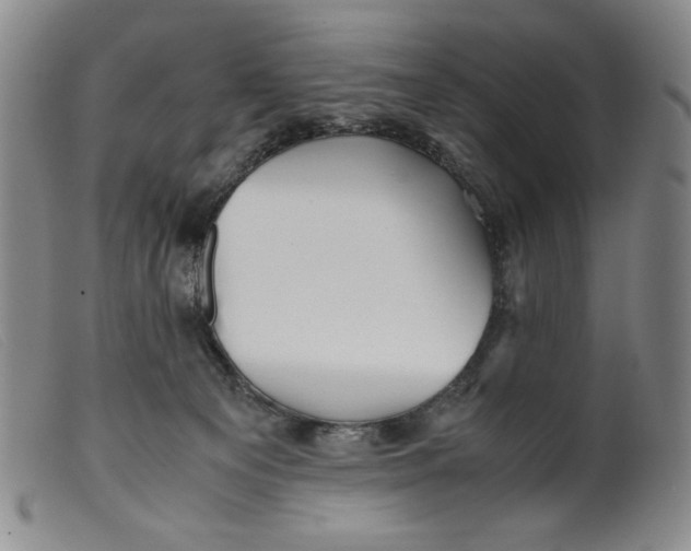 X0000099430129200805231702