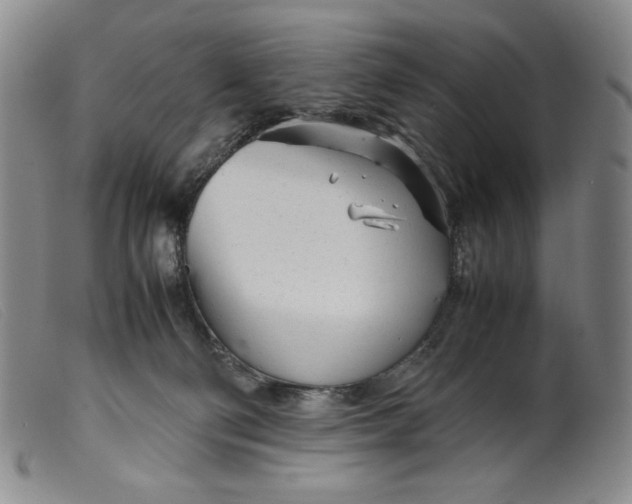X0000099430130200805231702