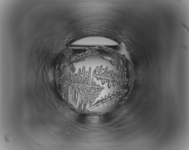 X0000099430131200805231702