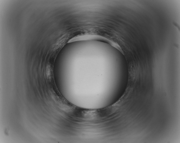 X0000099430132200805231702