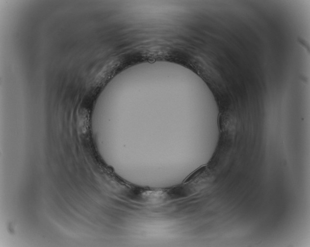 X0000099430133200805231702