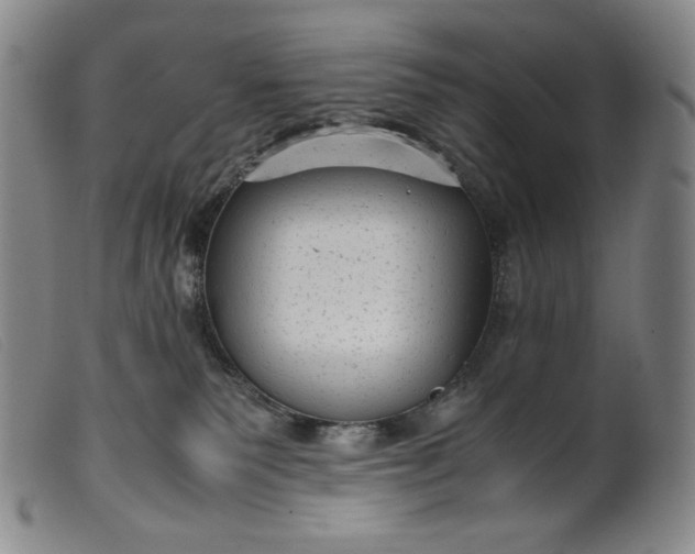 X0000099430135200805231702