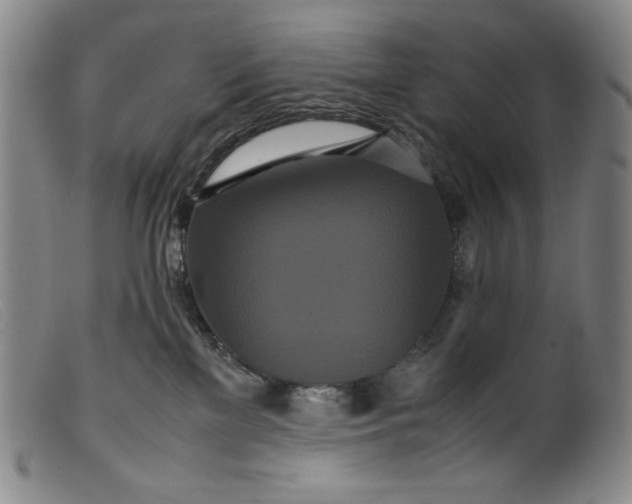 X0000099430137200805231702