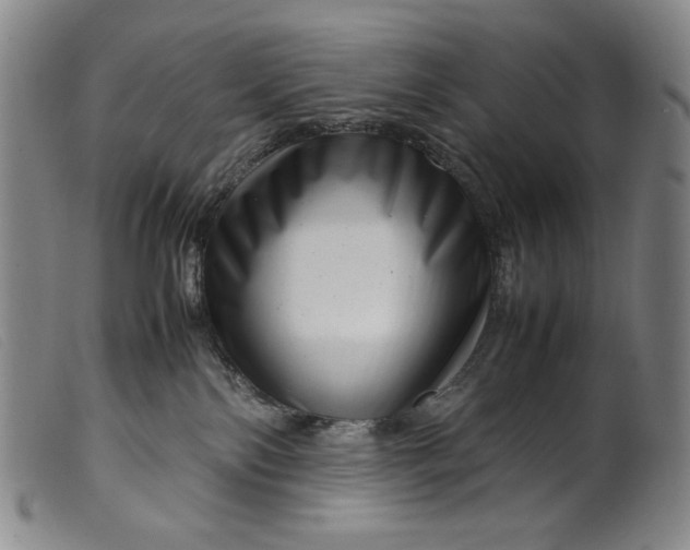 X0000099430138200805231702