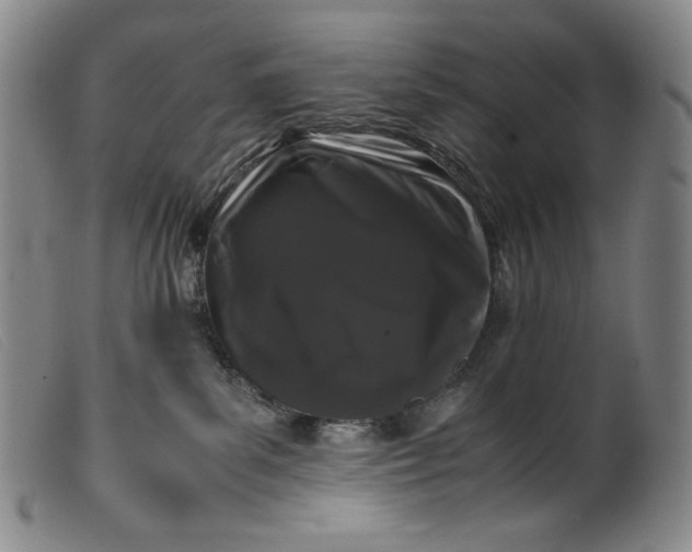 X0000099430139200805231702