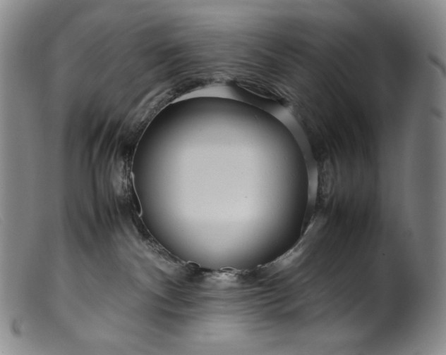 X0000099430140200805231702