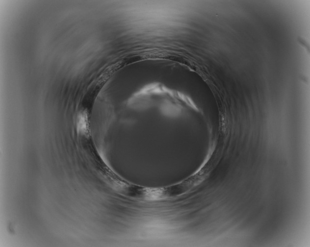 X0000099430143200805231702