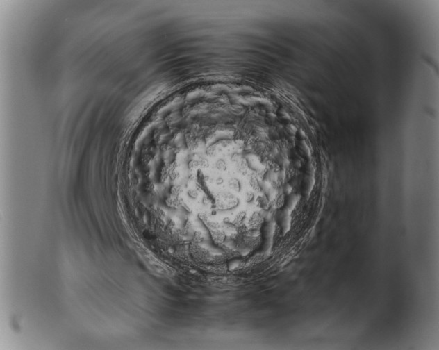 X0000099430145200805231701